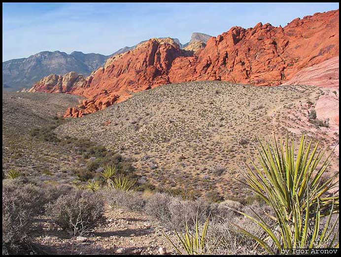 Red Rock Canyon