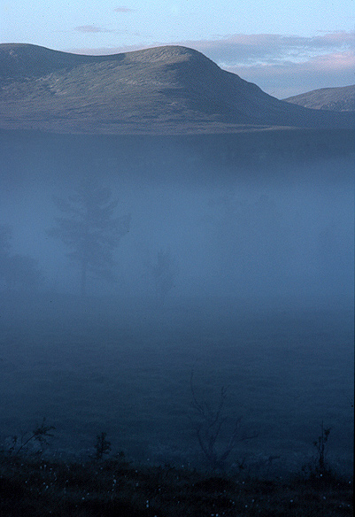 Foggy Mountain