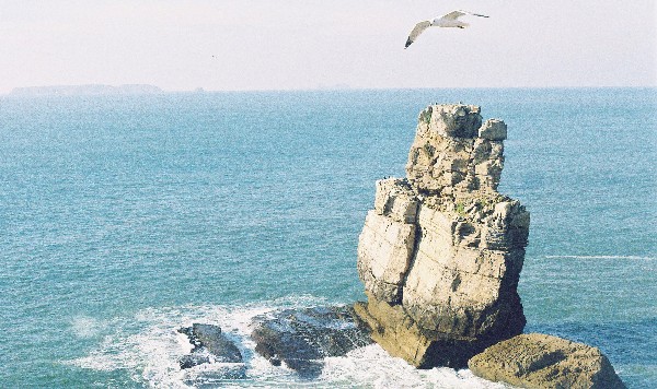 Berlenga islands