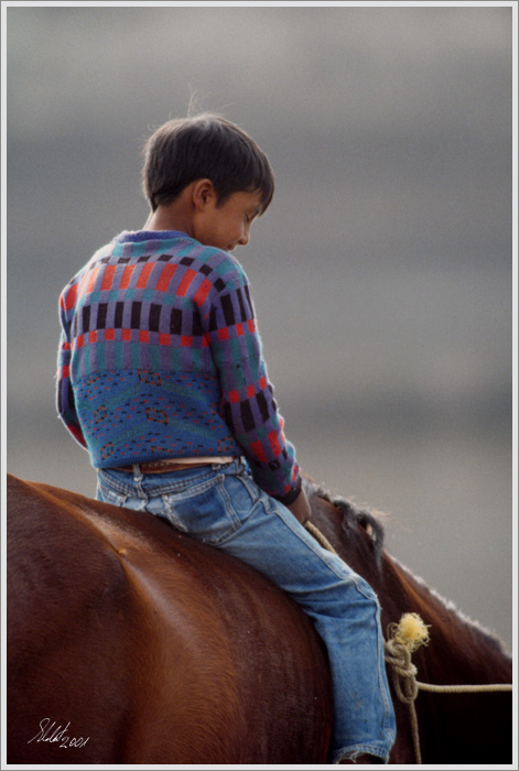 Boy on Horseback