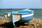 blue boat