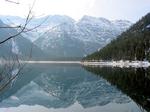 Plansee in the spring 