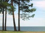 Ladoga (3)