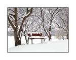 : Park Bench