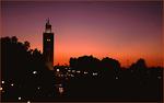 Evening in Marrakech