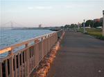 Verrazano Boardwalk