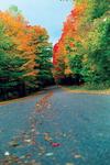 : Fall Drive