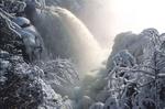 birch falls at -15c