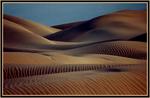 Death Valley Dunes 1